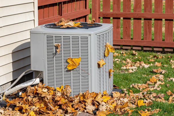 Best Best HVAC companies  in Whitney Point, NY